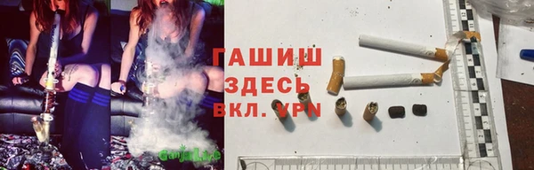 эйфоретик Арсеньев