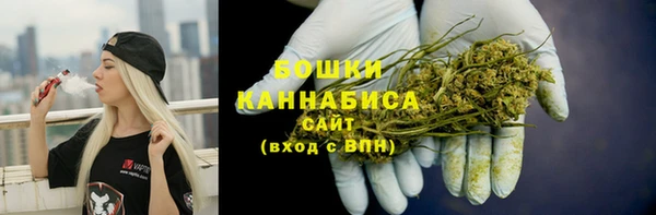 эйфоретик Арсеньев