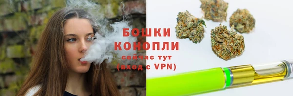 молекула духа Аркадак