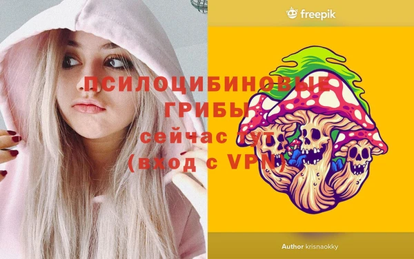 эйфоретик Арсеньев