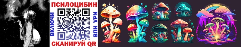 купить  цена  Казань  гидра ССЫЛКА  Псилоцибиновые грибы Cubensis 