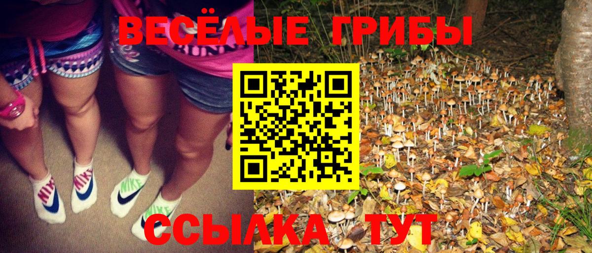 Галлюциногенные грибы мухоморы Казань