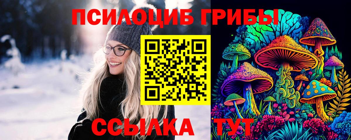 Галлюциногенные грибы Psilocybine cubensis  где продают   Казань  Вход с VPN  Псилоцибиновые грибы MAGIC MUSHROOMS 