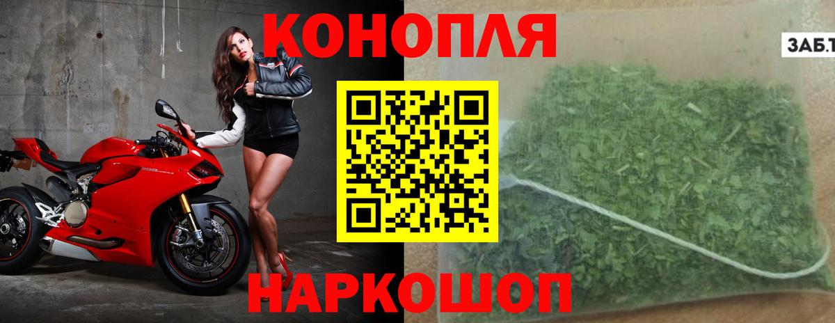 Шишки марихуана OG Kush Казань